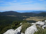 15. Pogled